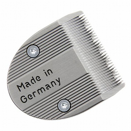 ���� ����� ������ ������ Moser 1591