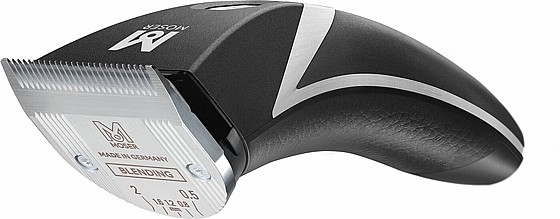 ����� ������ ������� Moser 1877 ����