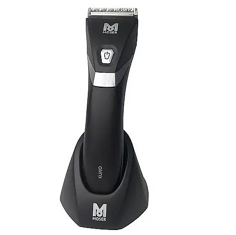 ����� ������ ������� Moser 1877 ����