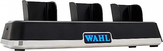 ���� ����� ������� ���� WAHL POWER STATION