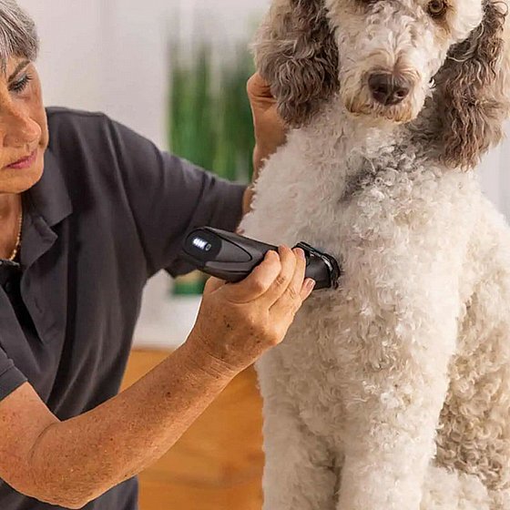 ����� ������ ������� ����� ���� WAHL MaxGO 1263-0472