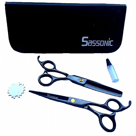 �� ������� Sassonic ESE50 - 4CR