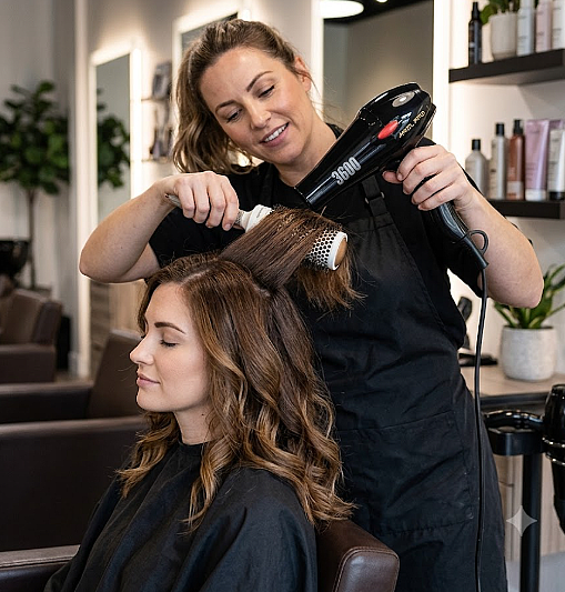 ����� ���� ������ ArielPRO 3600 ����� ���