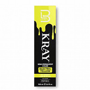��� ��� ���� ���� ����� ����� KRAY Yellow Electric ���� LEVEL3