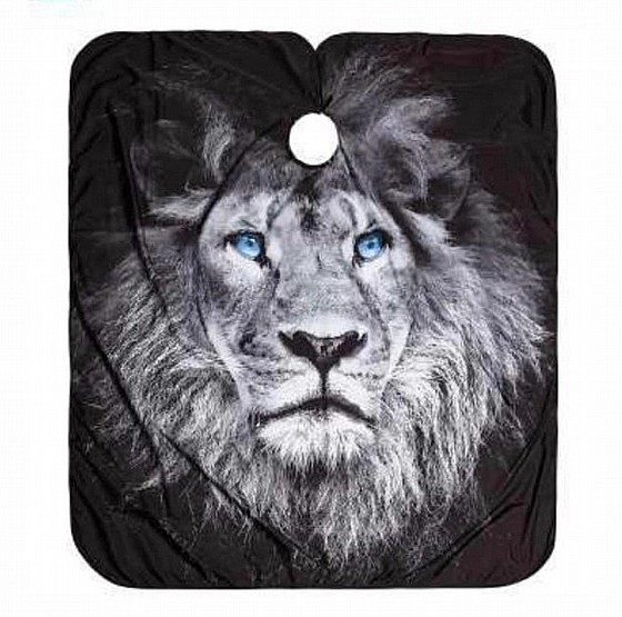 ���� ����� ������ BarberPRO BP2947