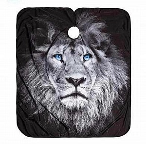 ���� ����� ������ BarberPRO BP2947