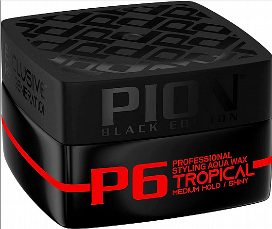 ���� ����� ����� ����� ���� PION P6