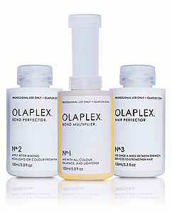 ������� No.1+2+2 ���� ������� ������ ����� OLAPLEX