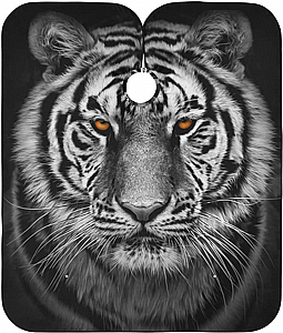 ���� ����� ������ "����" BarberPRO BP4671