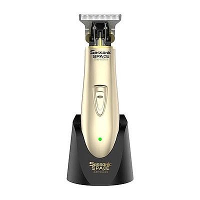 ����� ������ �� Sassonic ESE-770