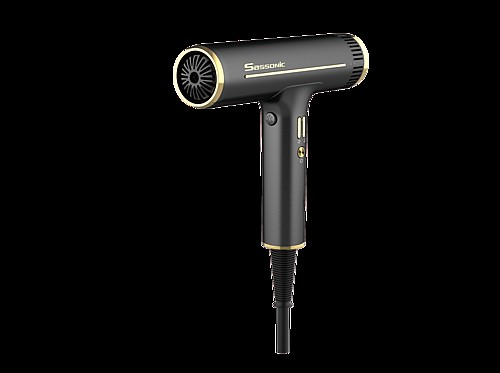 ����� ���� ����� Sassonic JET ESE8000