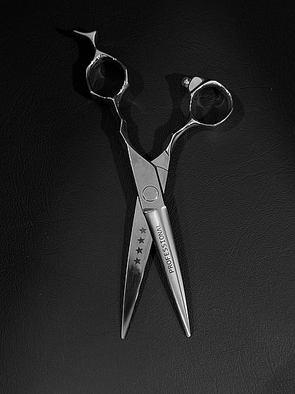 ������� �������� 6 ���� Monkey Professional Scissor TYG60